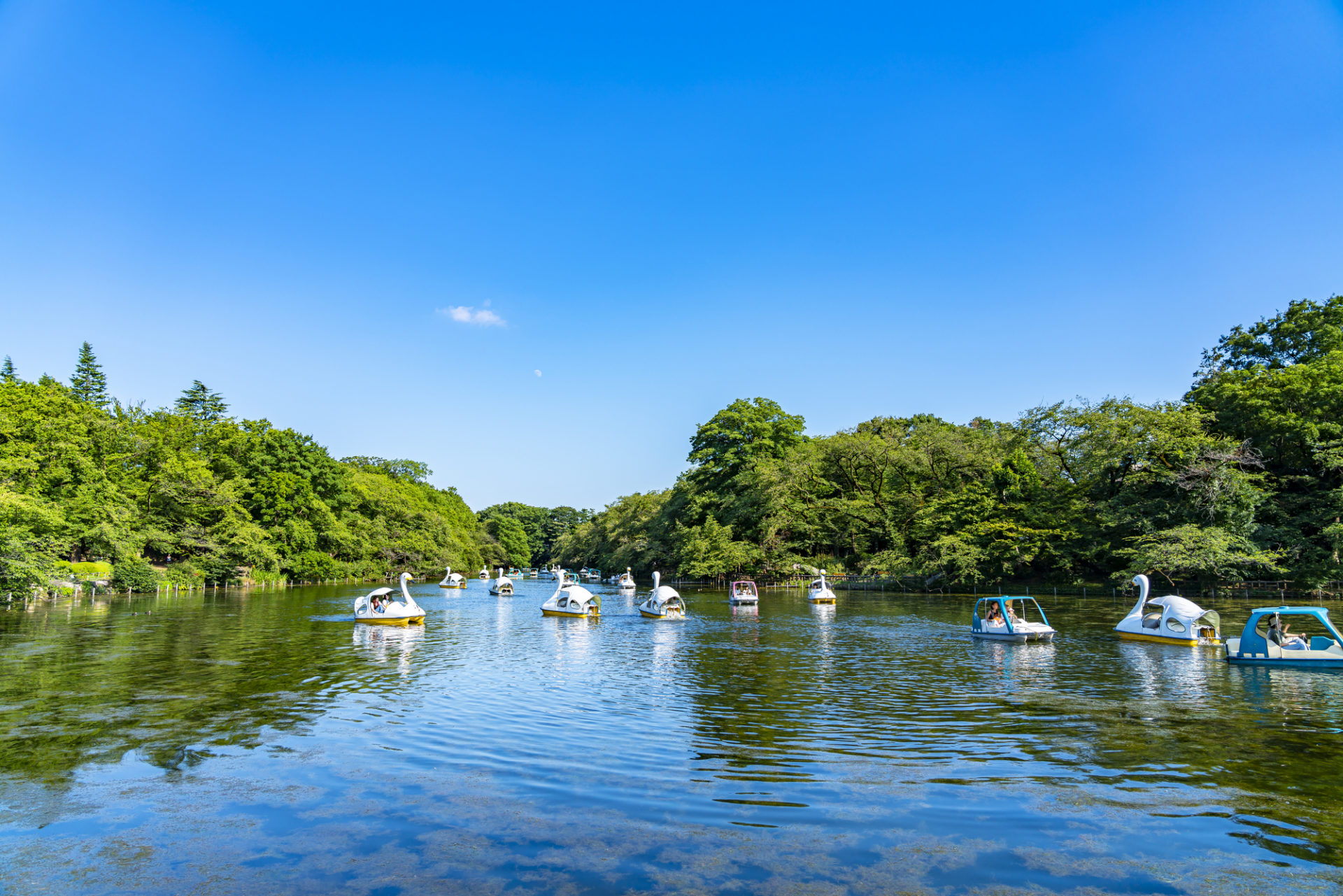 吉祥寺の魅力とは？