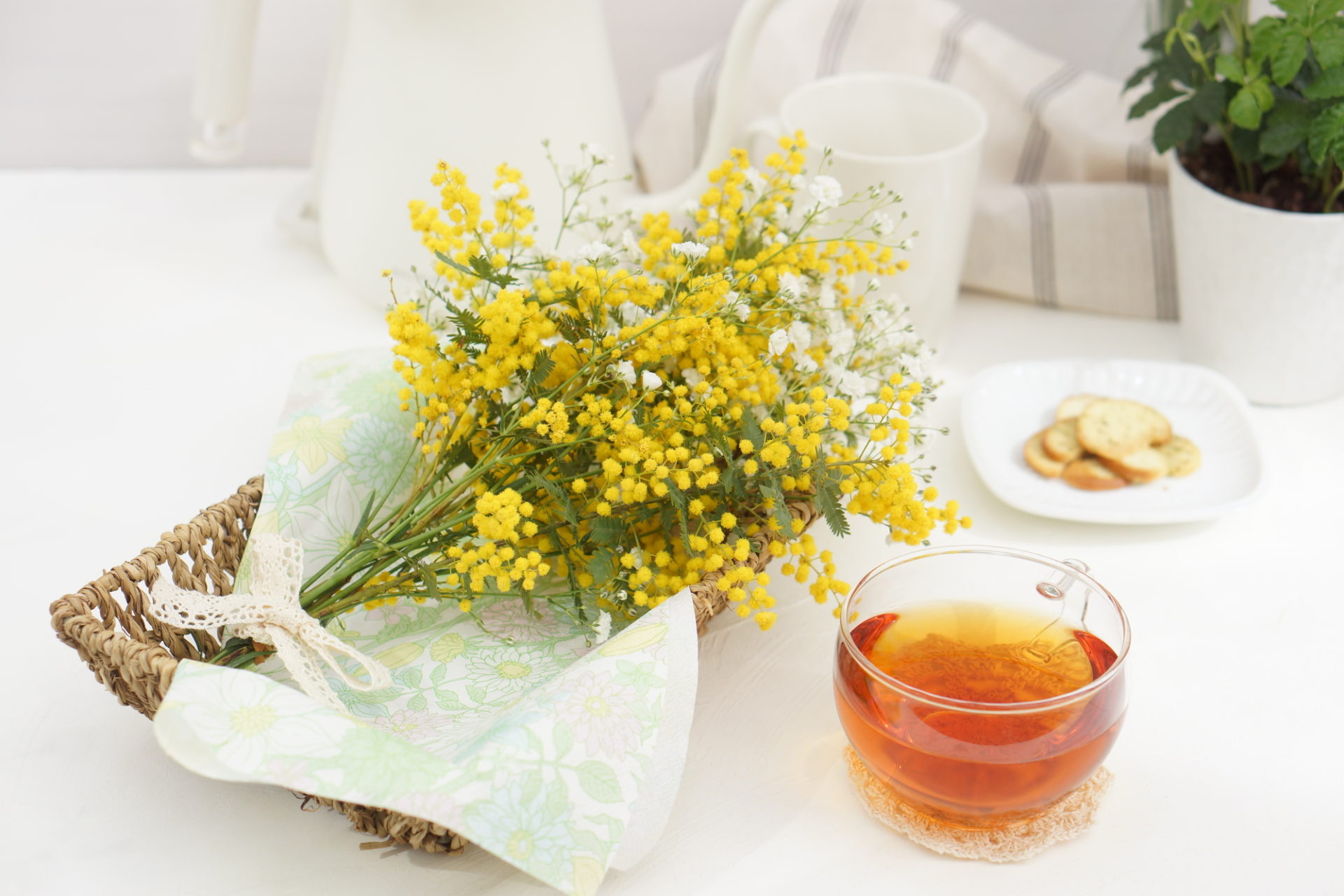 2月の花「ミモザ」「梅色」で選ぶパッケージとは？春の予感を紅茶で楽しもう