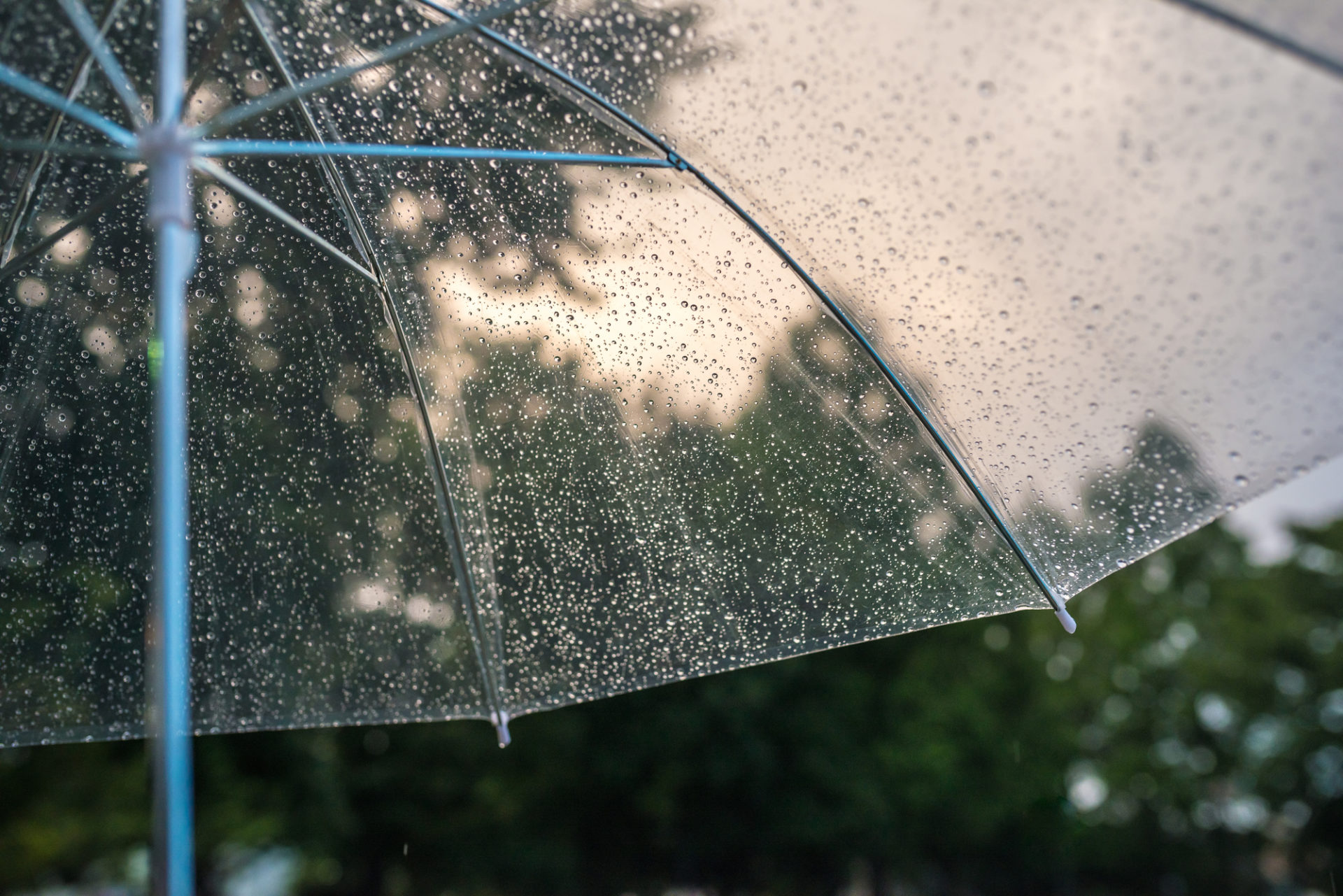雨の日の背景アイディアとは？