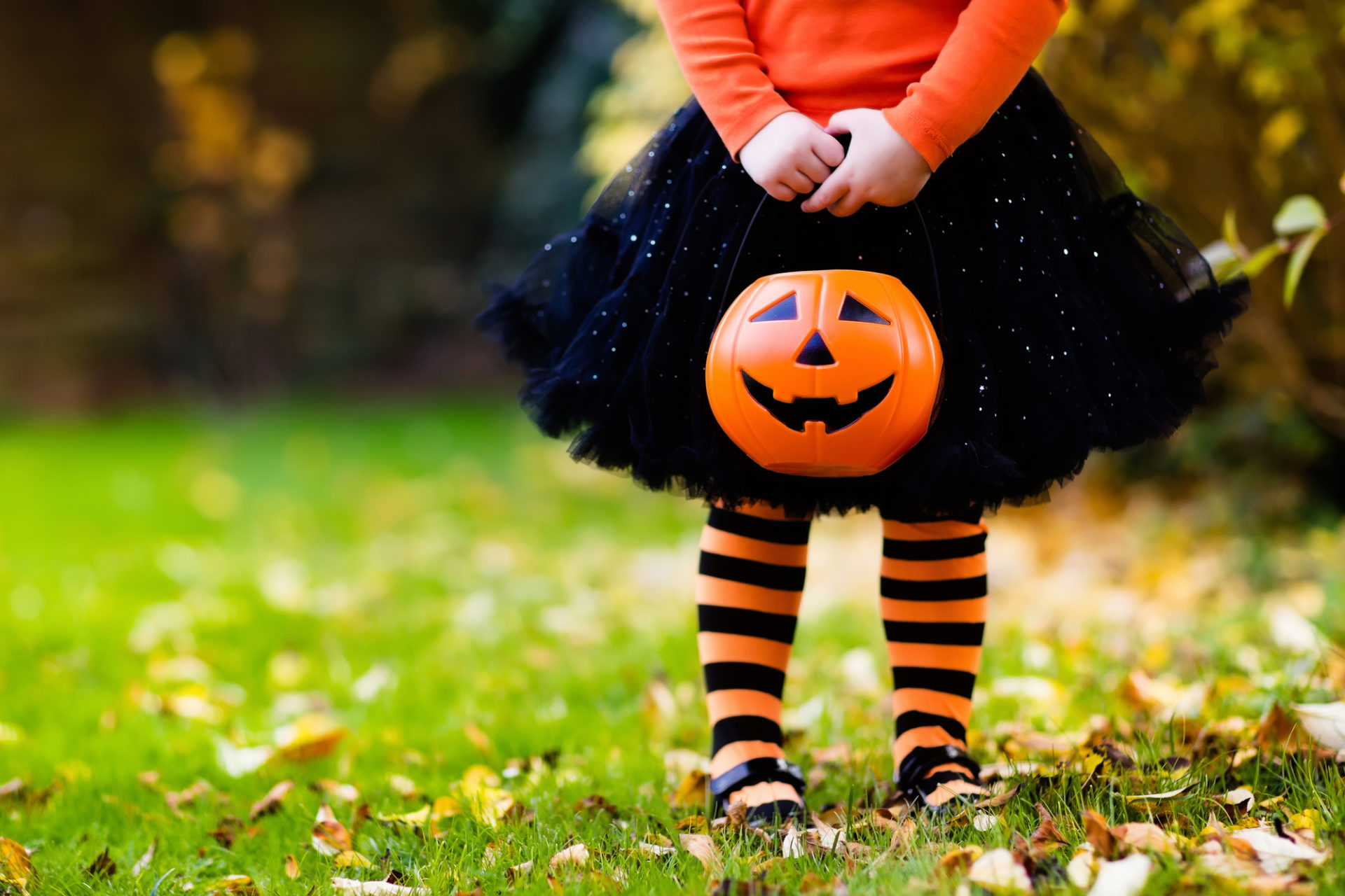 ハロウィン準備：仮装に合わせた"色×香り"コーデとは？